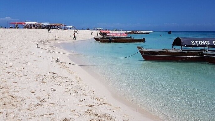 Nungwi Village & Sea Turtle Swimming Trip W/ Transfer - Zanzibar