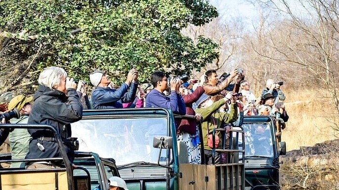 8-Day Private Transport for Golden Triangle Tour With Ranthambore