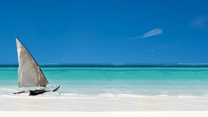 Prison Island Experience Half Day Tour With Transfer - Zanzibar