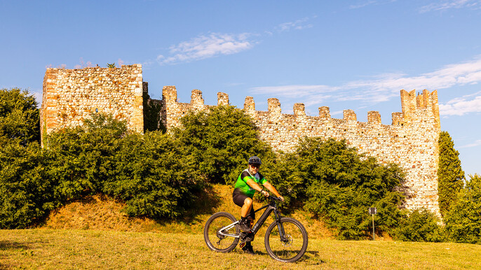E-Bike tour with Wine tasting from Salò