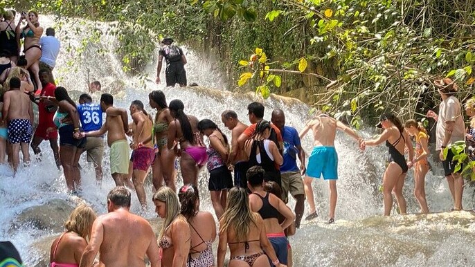 All In One Full Day Tour in Saint Ann Garden Parish Jamaica