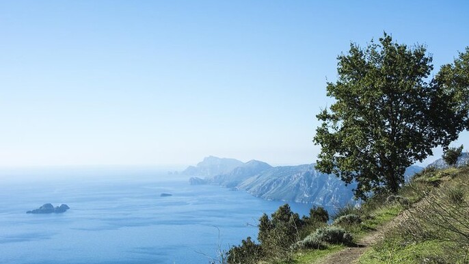 Path of the Gods Hiking tour from Sorrento