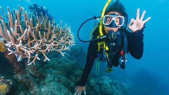 Advanced Open Water PADI Diving Course W/Transfer - Marsa Alam