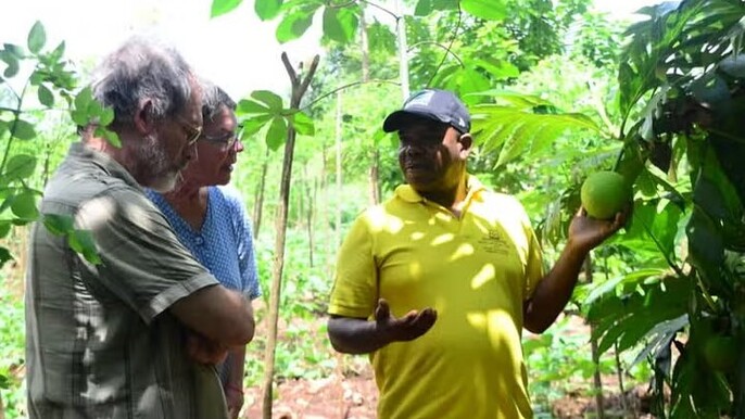 Explore Full Day Jozani Village Visit In Zanzibar