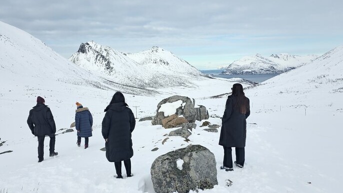 Tromso Free Photography Small Group Fjords Car Tour By (Minivan)