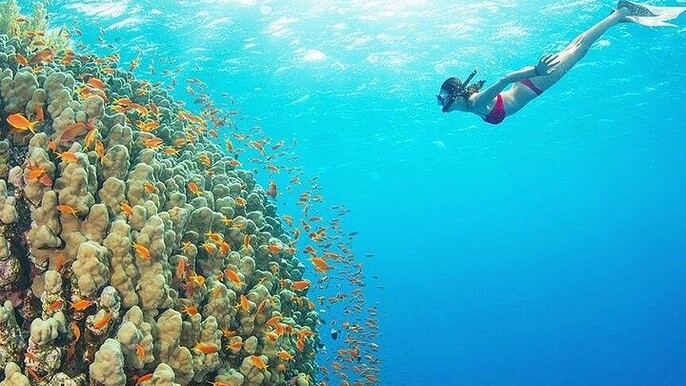 Ras Mohamed & White Island Luxury Yacht Trip from Sharm el Sheikh