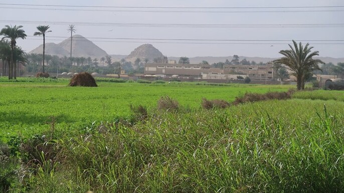 Private Dahshur Pyramids and Farmland Experience