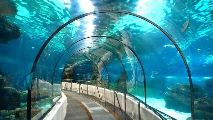 Grand Aquarium Discovery with Tickets & Transfer From Hurghada