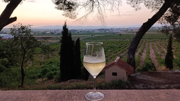 From Valencia Utiel Requena Wine Tour