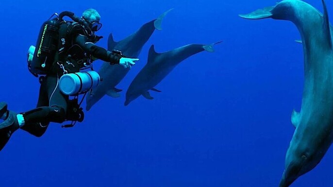 Scuba Diving Sea Trip with Lunch and Transfer from Hurghada