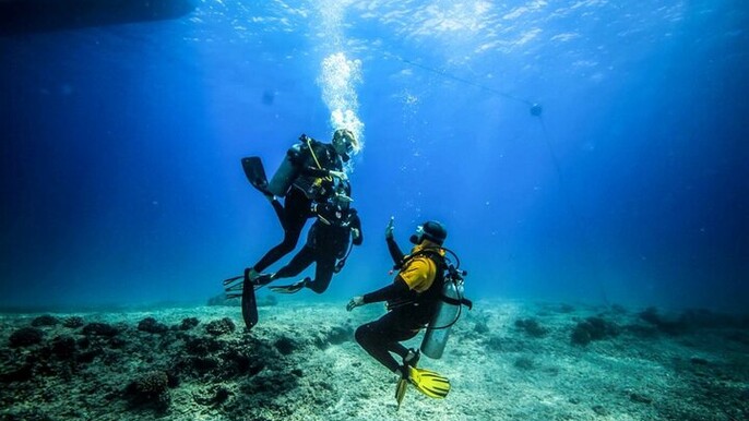 Coral Garden Sea Trip & Two dives With Transfer - Marsa Alam