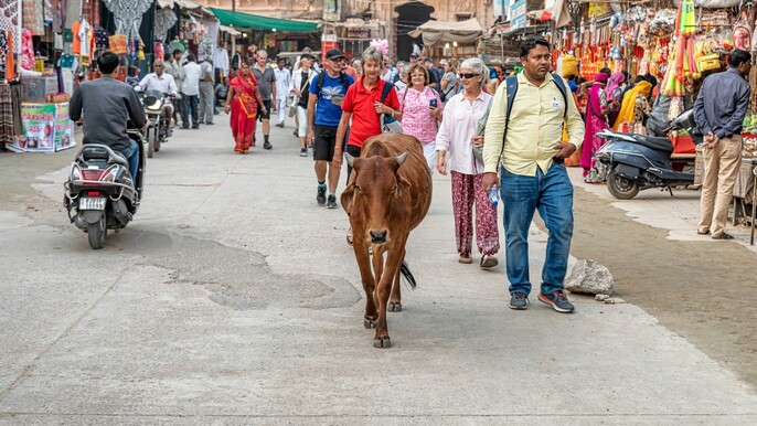 Jaipur to Udaipur : A Guided Tour with a Pushkar Stop