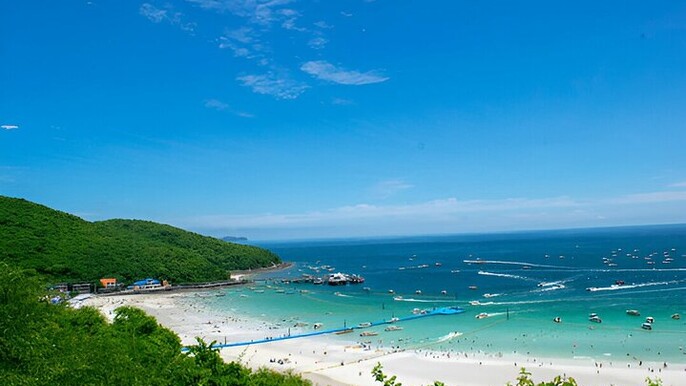 Koh Larn Island Full Day Private Tour from Bangkok