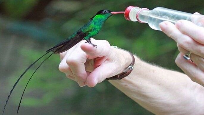 Private Rockland Bird Sanctuary Tour from Falmouth
