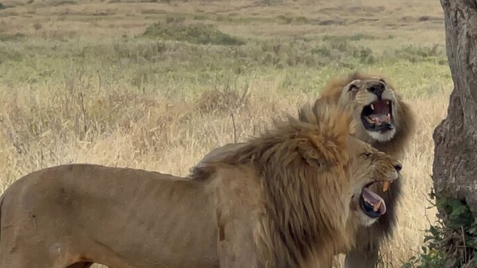 Dar es Salaam 3 Day Private Scenic Safari Tour