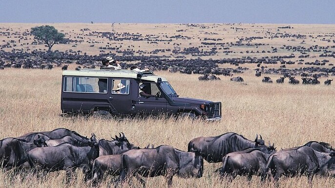21Day Kenya and Tanzania Mt Kilimanjaro Climbing Safari and Beach