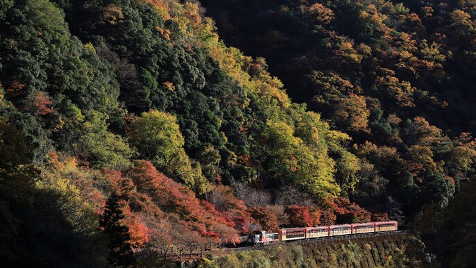 Arashiyama Walking Tour with Optional Sagano Romantic Train Ride