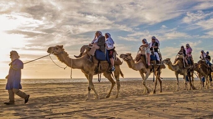 Camel Ride and UTV Adventure with Tequila Lunch in Baja