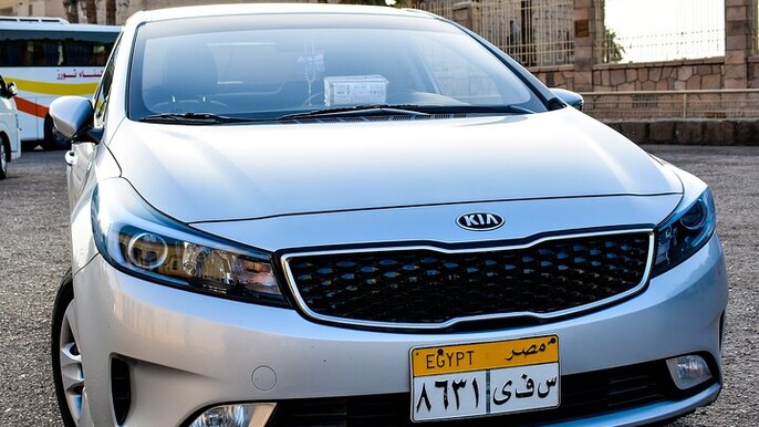 Private Transfer from Abu Simbel to Luxor Professional Service