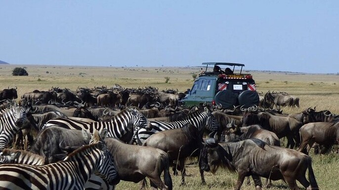 3 Day/2 Nights Maasai Mara Safari Shared Tour