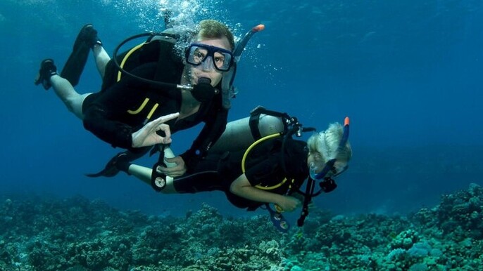 Tiran Island Full Day 2 Diving Stops Trip & Lunch–Sharm El Sheikh