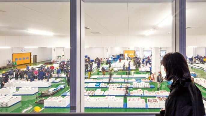 Kyoto Wholesale Fish Market Walking Tour