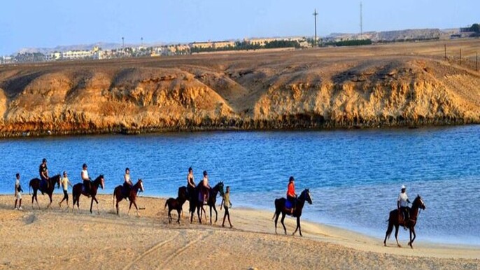 3 Hours Sunrise Horse Riding Beach and Desert from Marsa Alam