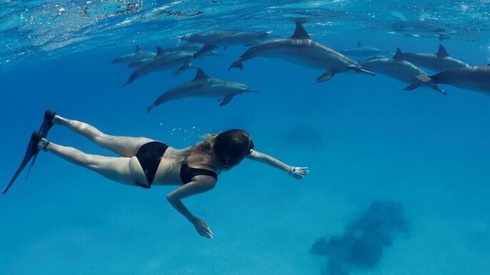 VIP Dolphin House & Snorkeling with Lunch & Transfers – Somabay