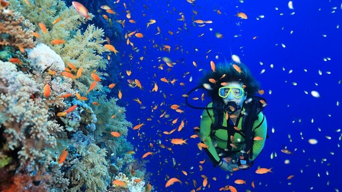 3 Days Open Water Diving Course with PADI & Transfer - Marsa Alam