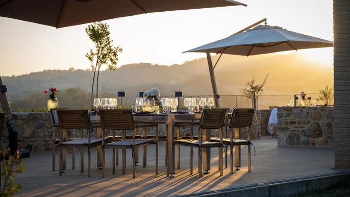Luxury Winery Tour & Tasting with Local Food in Scansano