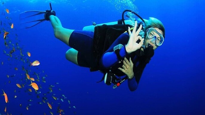 Daily Diving Adventure with Lunch Experience - Sharm El Sheikh