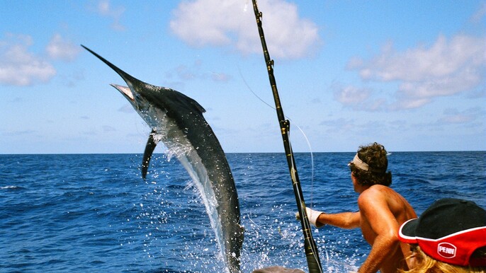 Cabo San Lucas Sport Fishing Adventure