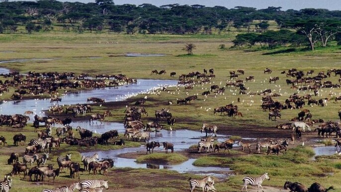 Ngorongoro Crater with Nature Tour and Lunch