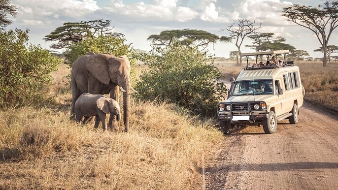 3 Days Maasai Mara Camping Safari on 4x4 Land Cruiser Jeep