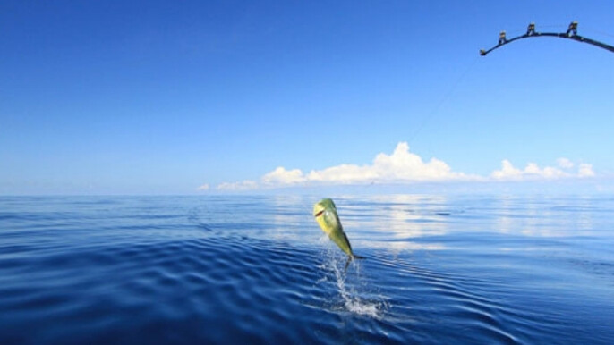Sport Fishing – Guanacaste Coastline Pursuit