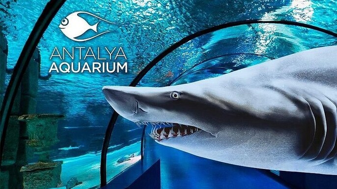Explore Antalya's Wild Park on a Guided Bus Tour