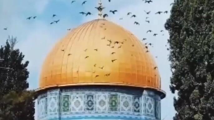 Jerusalem & Bethlehem Historical Full-Day from Amman or Dead Sea