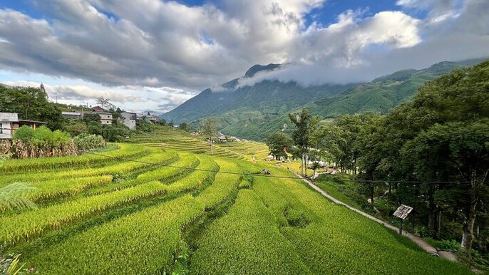 3-Day Trekking Tour in Ta Van Village Sapa