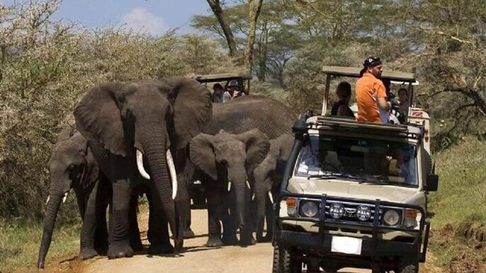 3 Day Amboseli National Park Jeep Safari