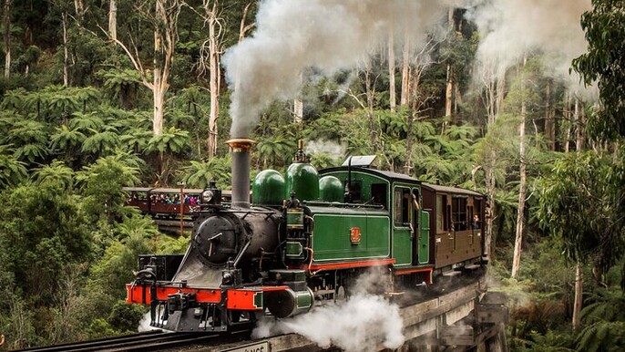 Melbourne Puffing Billy Train and Penguin Parade Day Tour Escape