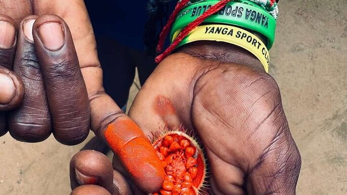 Zanzibar: Spice Farm & Stone Town Private Guided Tour with Lunch