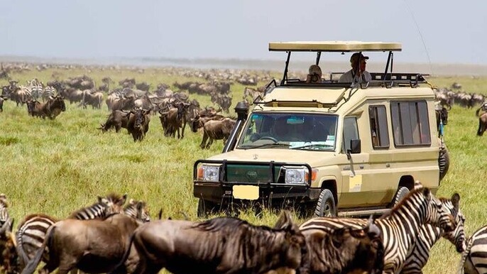 Perfect 2-Day Tanzania Safari to Tarangire and Ngorongoro Tour