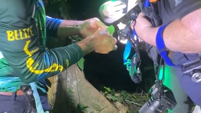 Into the Wild After Dark: A Nocturnal Hike in Belize’s Jaguar Preserve