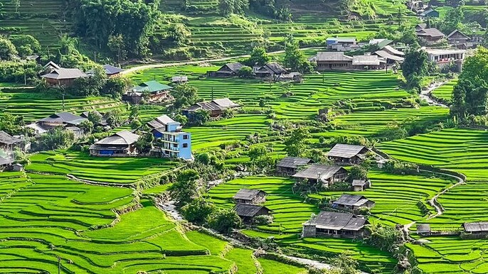 Guided Trek through Rice Terraces and Villages