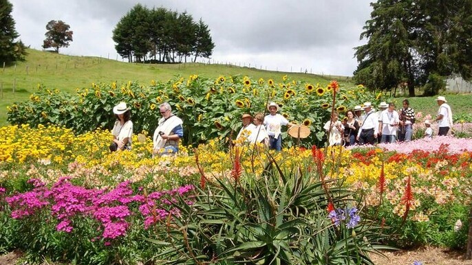 Private Tour Heart Fair Flowers + Adventure Park + Flower Farm