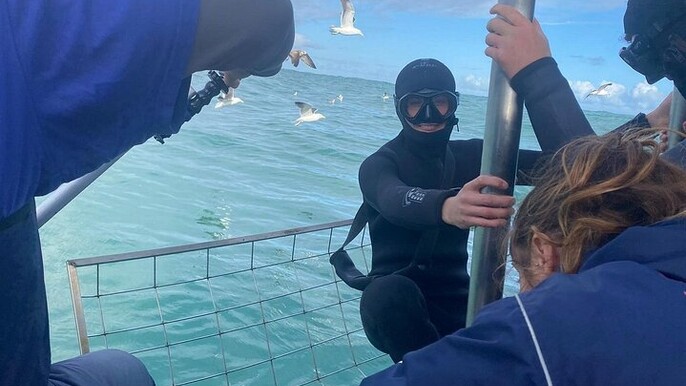 Shark Cage Experience with transport from Cape Town