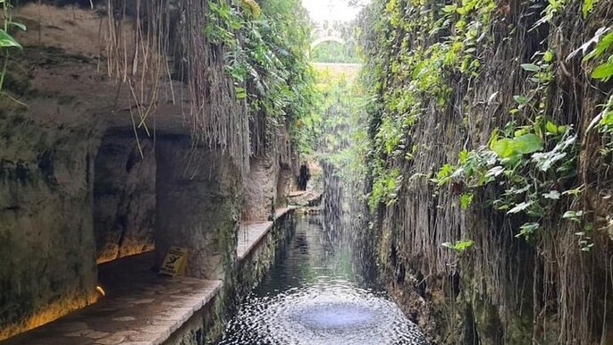 Tour to Hacienda Mucuyché, 2 cenotes & Oxkintok from Merida