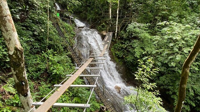 Half Day Tour: High Ropes and Aerial Tram in Jacó
