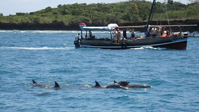 1 Day Wasini Dhow and Dolphin Excursion