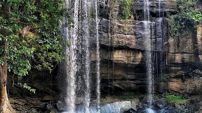 Shimba Hills National Reserve & Sheldrick Falls Day Trip